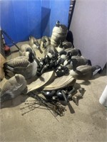 25 good geese decoys and several cardboard ones