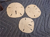 Collection of 10 sand dollars.