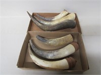 2 Boxes of Horns for Powder Horns