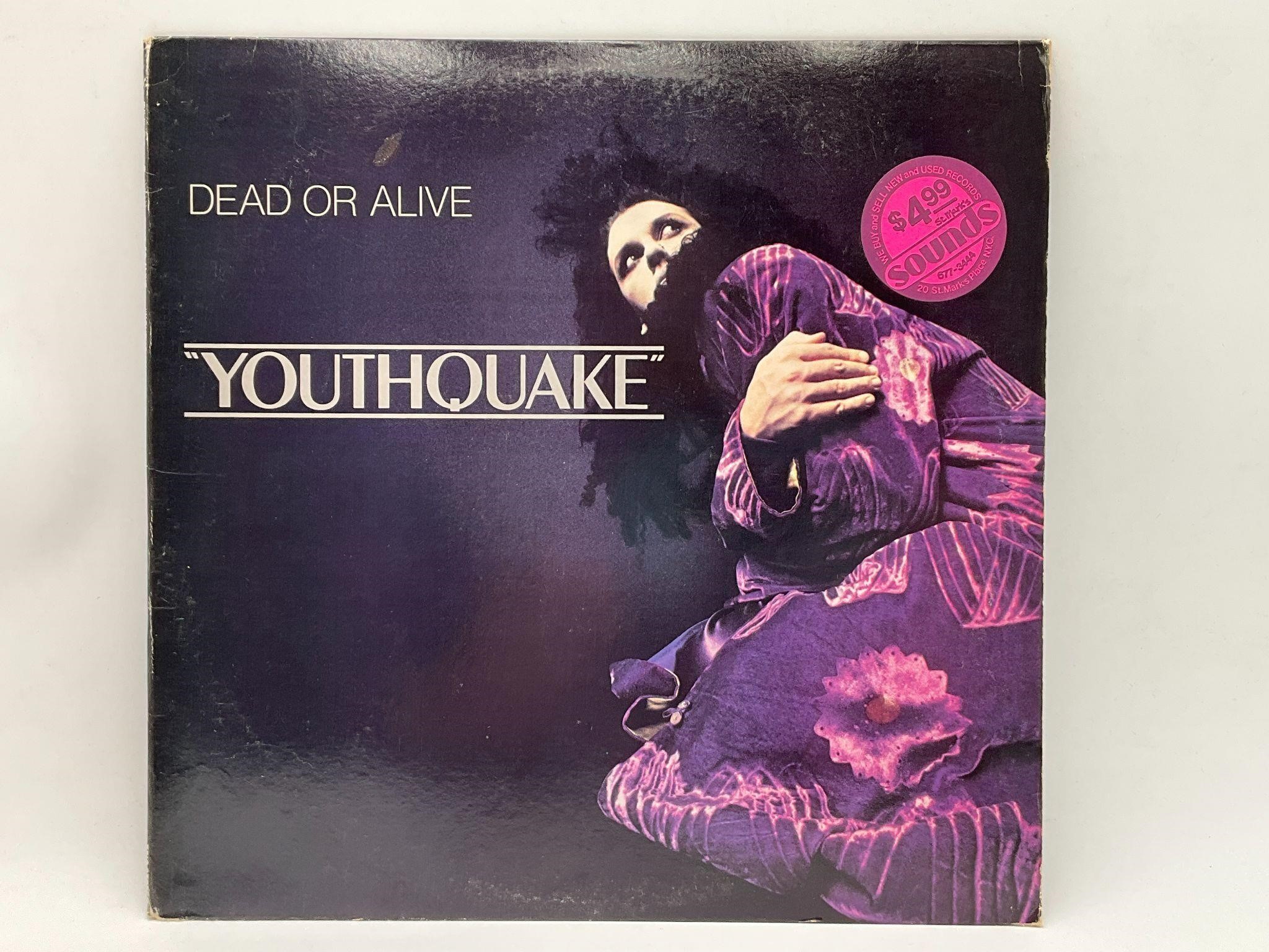 Dead Or Alive "Youthquake" Pop Rock LP Album
