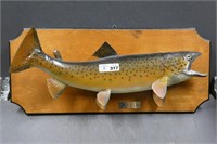 Trout Taxidermy Fish Mount
