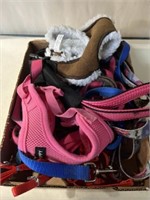 Lot of dog leashes and harnesses