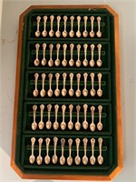Sterling Silver Spoon Collection USA States
