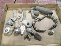 Rocks and Fossils