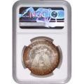 Certified Morgan Dollar 1880-S MS64 NGC Toning (A