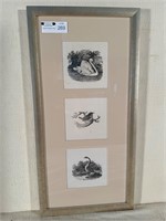 3 Avian Themed Quality Etchings Framed in Sequence