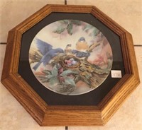 Spring of promise collector plate in 14" frame