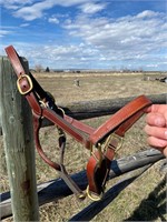 LEATHER HALTER WITH BRASS HARDWARE