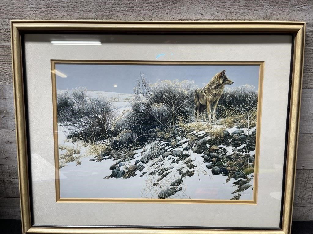 Robert Bateman Framed Print 20" Wide X 16" High In