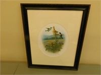 Hummingbird Framed Picture (19 x 23)