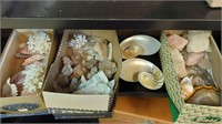 Sea shells, rocks, mineral & more