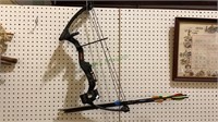 Youth compound bow by Bear includes six arrows
