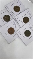 (5) assorted Indian head pennies