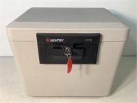 Sentry Lock Box, 13.5in Tall X 15in Wide