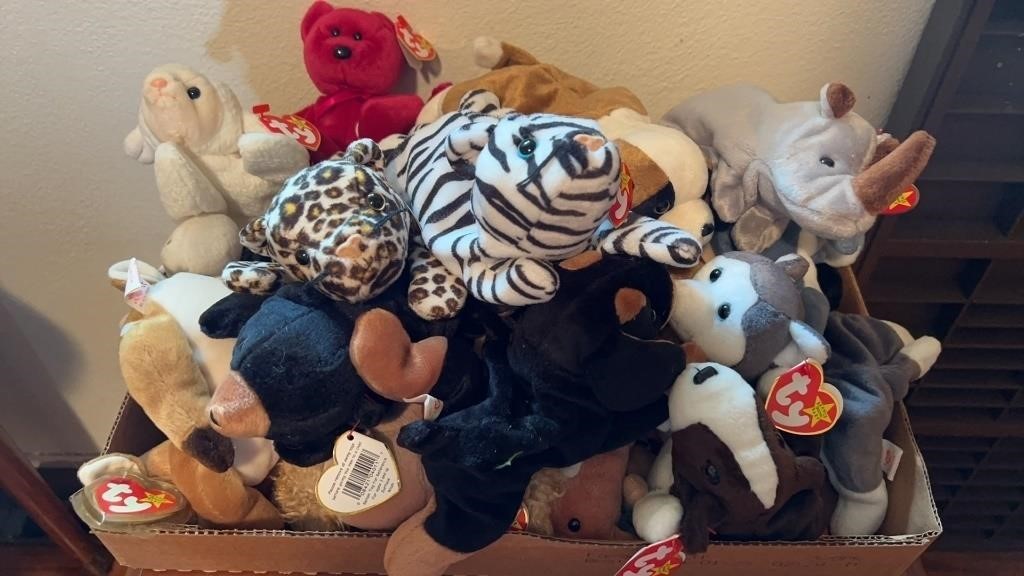 (20) BEANIE BABIES