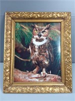 Vintage "Owl" Frame