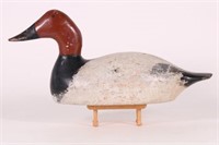 Canvasback Drake Duck Decoy by Evans Decoy