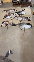 6 Flat Life Size Goose Decoys