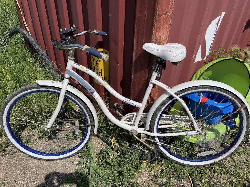 Adult bike