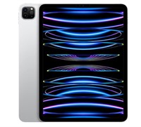 [WITH CRACKED] APPLE IPAD PRO 11-INCH (4TH