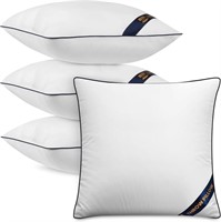 C533  Bedding Throw Pillow Inserts, 20 x 20 - Pack