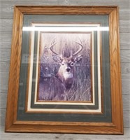 Framed Mule Deer Print