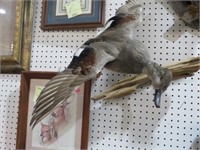 WALL MOUNTED DUCK ON DRIFTWOOD