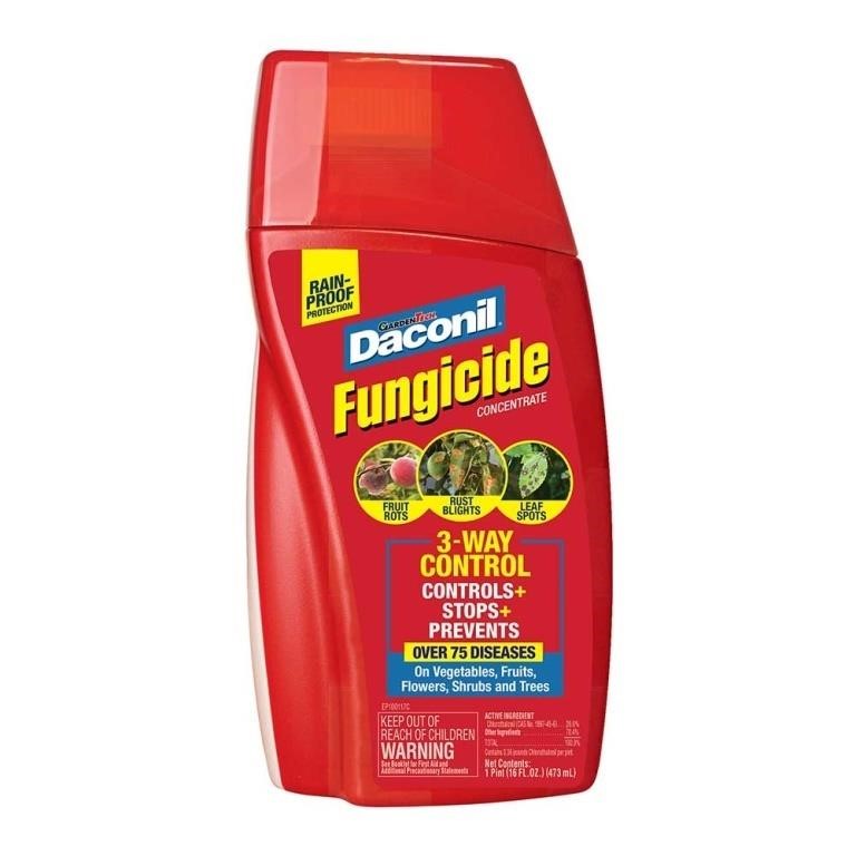 Daconil 16-oz Concentrated Fungicide