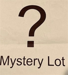 Mystery Lot= All items that did not recieve a bid
