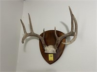 Antler Mount