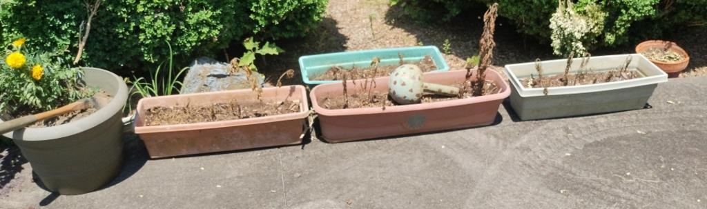 Planters and stone mushroom