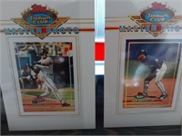 Baseball RARE set de 30 Masterphoto 1993