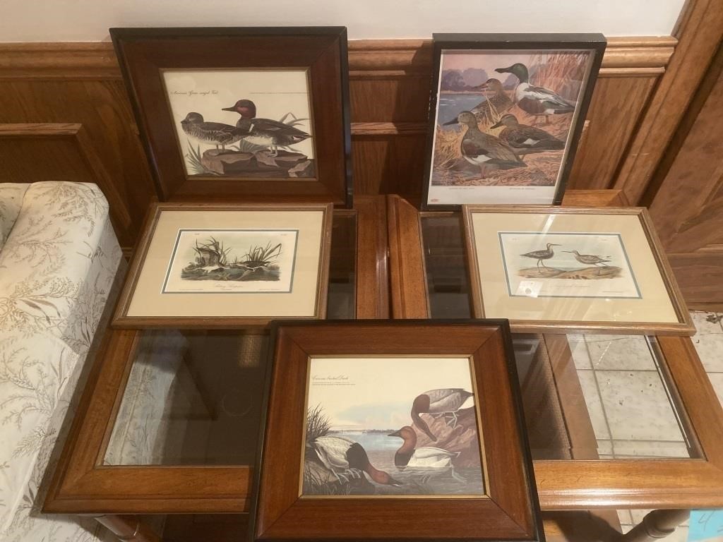 Lot Of Vintage Duck Prints