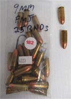 (25) Rounds of 9mm FMJ.