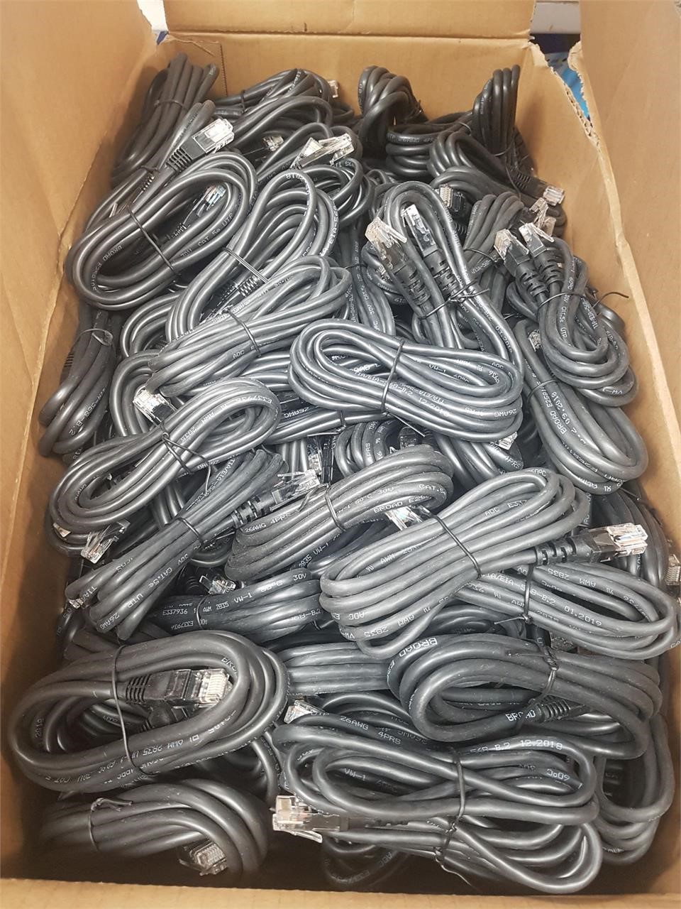 Lot of 288 6Ft Cat5e Ethernet Network Patch Cables