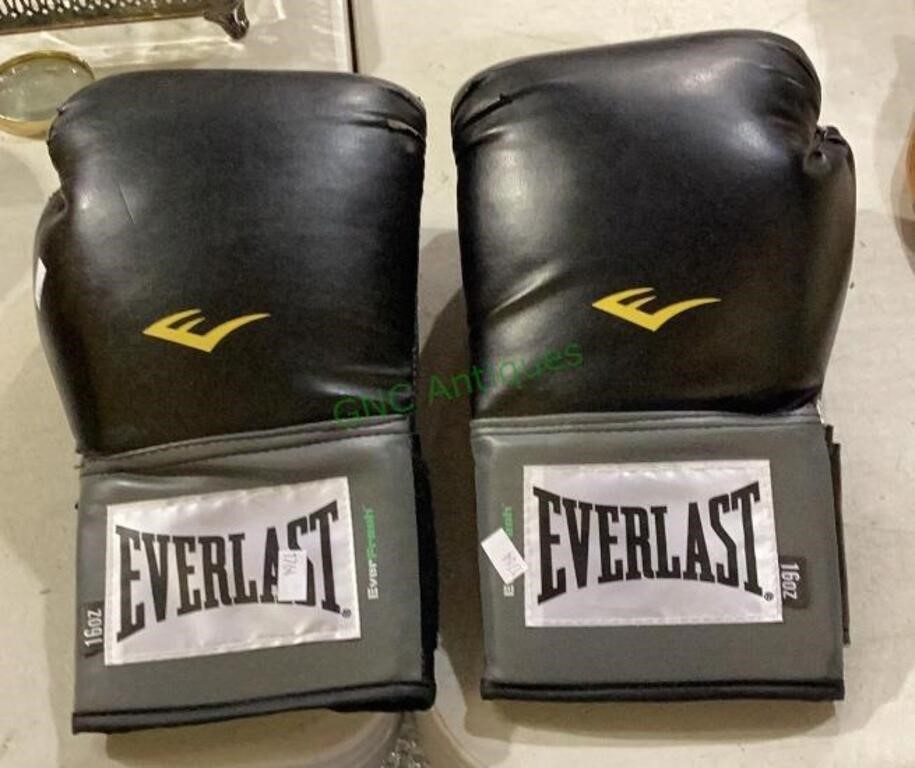 Everlast 16 ounce boxing gloves   1764