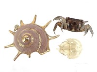Small Horseshoe Crab Crab & Gold Tipped Shell