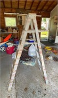 6 Ft Painter's Ladder
