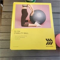 Stability Ball 55cm Blue - All in Motion™