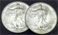 (2) 1993 Silver Eagles