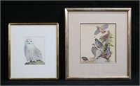2 Arthur Singer Ornithological Tempera Paintings