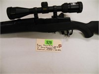 Ruger Ranch Rifle 300 BLK, Rifle