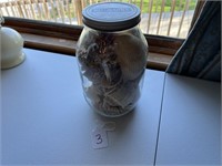 Jar of Sea Shells