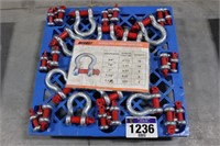 NEW DIGGIT 38PC. SCREW PIN ANCHOR SHACKLES