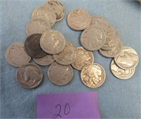 20 Buffalo Nickels