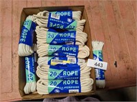 (10) 20ft Ropes