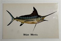 Vintage PPC Postcard White Marlin!