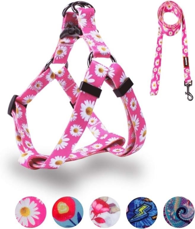 QQPETS Dog Harness Leash Set Adjustable Heavy Duty