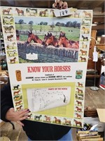 Horse Advertising poster