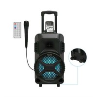 MegaBass LED Speaker, 8in Subwoofer, 8.2lbs